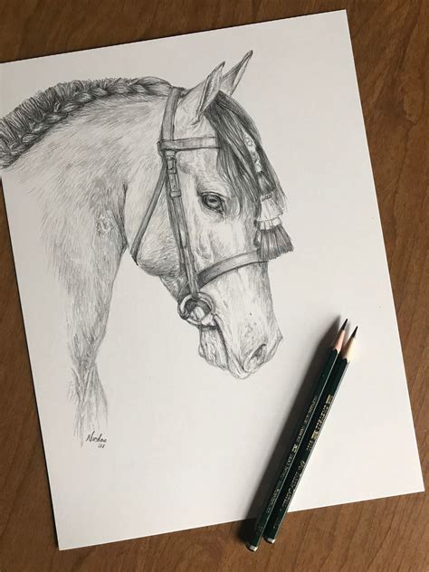 Orignial horse pencil drawing by equine artist Nicole Smith Dressage ...