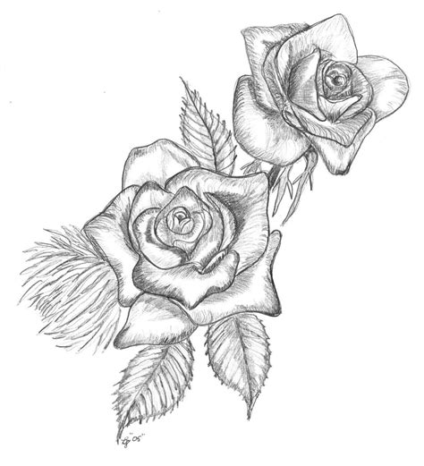 Free Drawings Of Roses, Download Free Drawings Of Roses png images ...