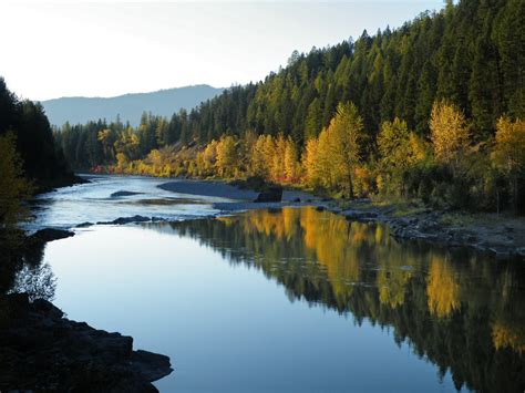 Flathead River. Montana. | Glacier national park, River, National parks