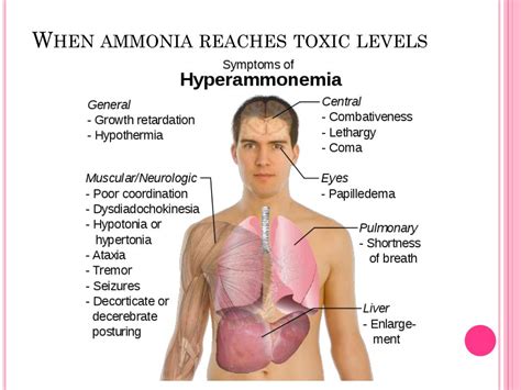 PPT - Ammonia PowerPoint Presentation, free download - ID:2111088