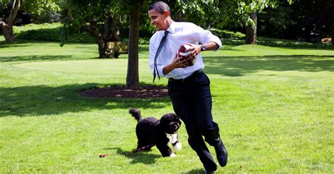 Presidential Pets Quiz - Obama Dog White House Pets