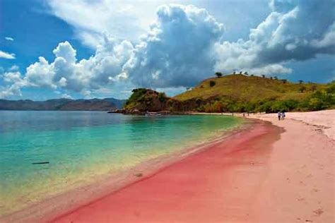 Pink Beach, The Pink in East Lombok - VISITINDONESIA-PARADISE.BLOGSPOT.COM