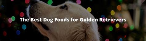 Best Dog Food for Golden Retriever Puppies