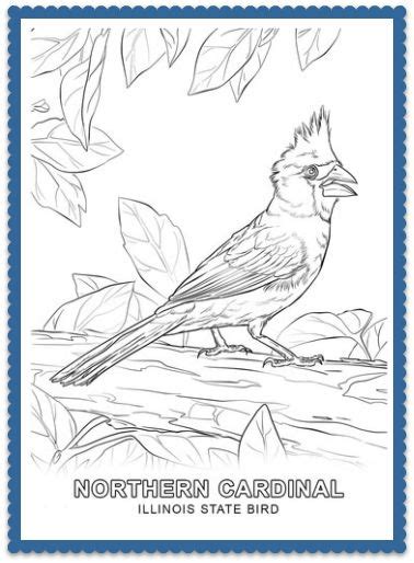 State Bird Coloring Pages by USA Facts for Kids | Bird coloring pages ...