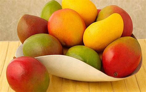 Mexican Mango Exports to the U.S. are on the Rise - Casa Bay Villas