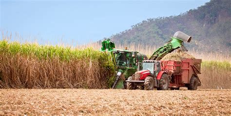 Crop Yield Forecasting in sugarcane using remote sensing