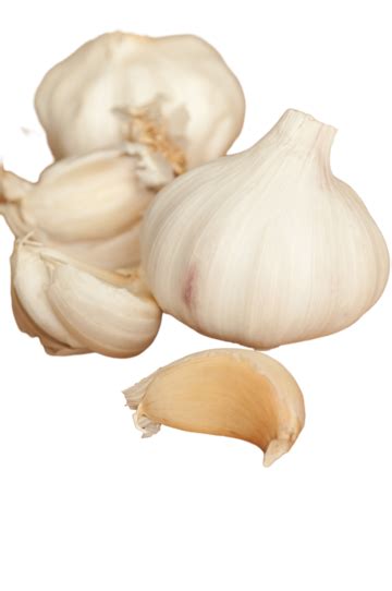 Garlic Clove Chopping Board Organic, Part, Healthy, Organic PNG Transparent Image and Clipart ...