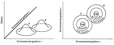 13 The Ecological Niche