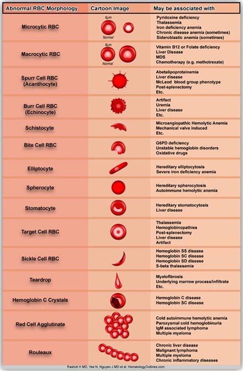 Polycythemia Vera Rbc Levels