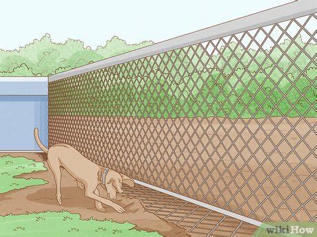 13 Simple Ways to Keep a Dog from Jumping the Fence - wikiHow