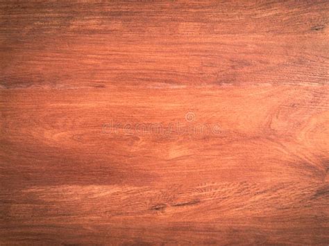 Hardwood Maple Texture Background for Design. Copy Space for Work Stock Image - Image of panel ...