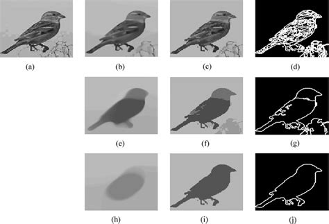 Scale-space and segmentation stack. (a) Original bird image. (b), (e),... | Download Scientific ...