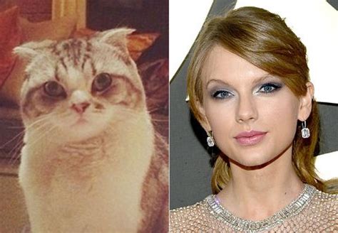 Times Taylor Swift Looked Exactly Like Her Cat