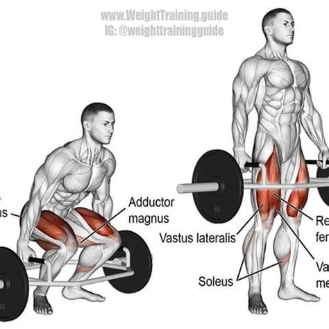 4 Benefits of The Trap Bar Deadlift Over Conventional Dead lifts - Dark ...