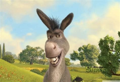 Famous Donkey Names: List of 60+ Famous Names for a Pet Donkey