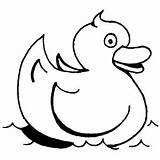 Rubber Duckie Drawing At GetDrawings  Free Download sketch template