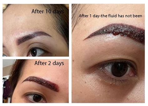 Microblading Eyebrows Healing Process Opulence Brows Beauty, 55% OFF