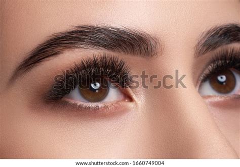 False Eyebrows Stock Photos - 15,404 Images | Shutterstock