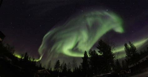 This Photographer Was Snapping The Northern Lights When Suddenly A ...