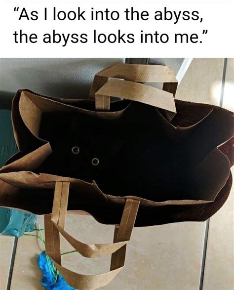 The abyss - Meme by Roobster :) Memedroid