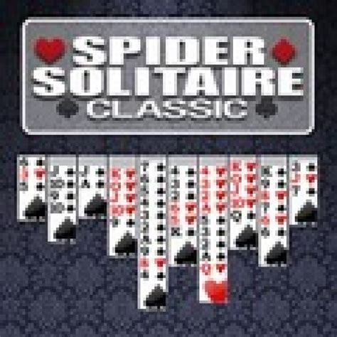 Spider Solitaire Classic - Coffee Break