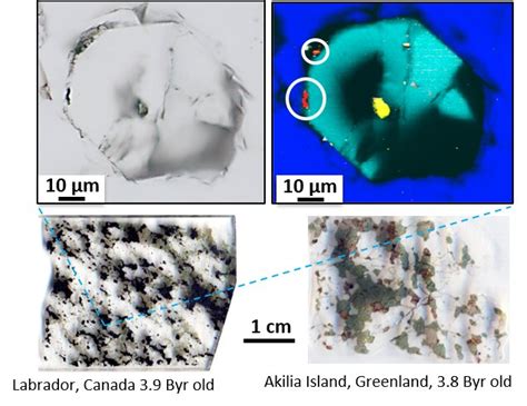 Tracking records of the oldest life forms on Earth