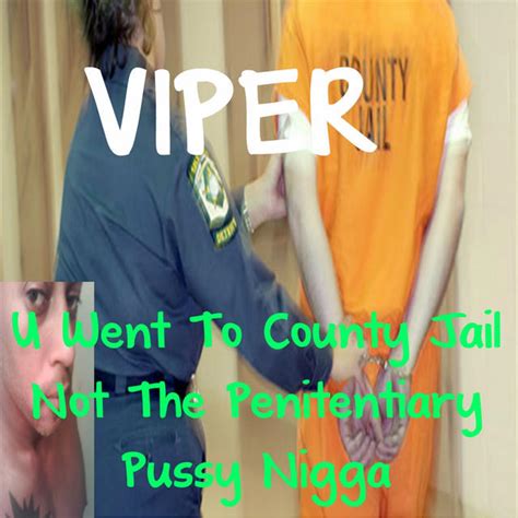 Viper is a Struggle Rapper Who Released 333 Albums This Year | PigeonsandPlanes