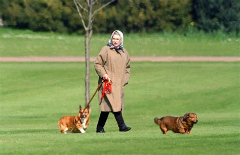 What Are the Names of Queen Elizabeth II's New Corgis?