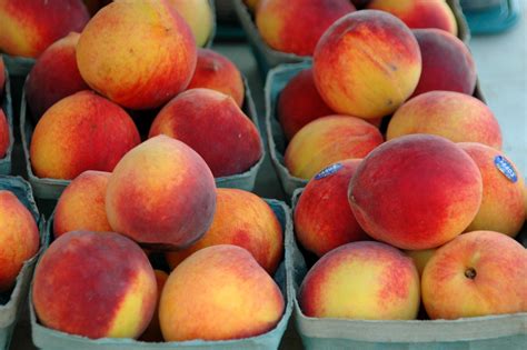 Peaches For Sale Free Stock Photo - Public Domain Pictures