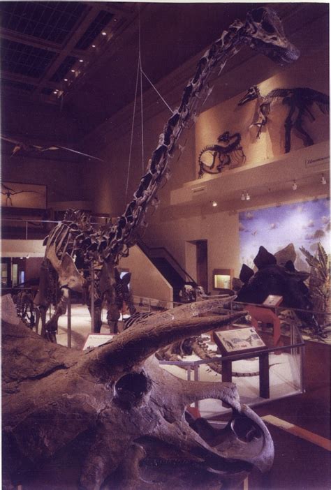 Dinosaur Hall | Smithsonian Institution