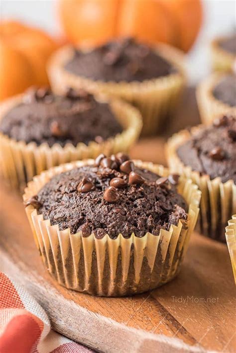 Chocolate Pumpkin Muffins - TidyMom®