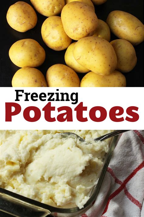 Freezing Potatoes | How to Freeze Potatoes - Good Cheap Eats