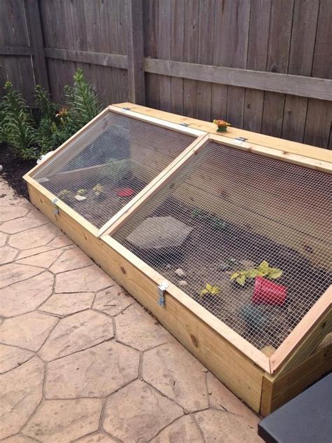 How To Keep Tortoise Enclosure Warm at Rosalind Wing blog