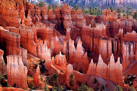 Bryce Canyon Hoodoos by Rod Irvine