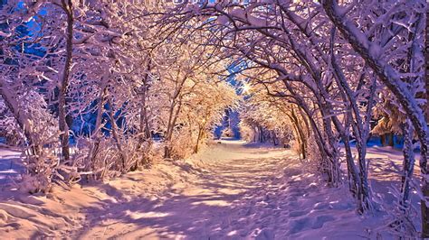 HD wallpaper: Nature Landscapes Winter Snow Christmas Sidewalk Roads Lights White Trees Desktop ...