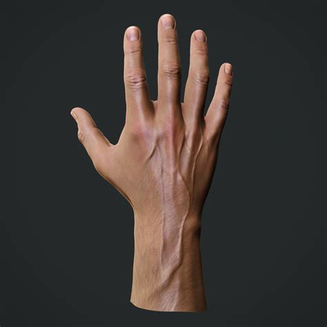 realistic male hand obj