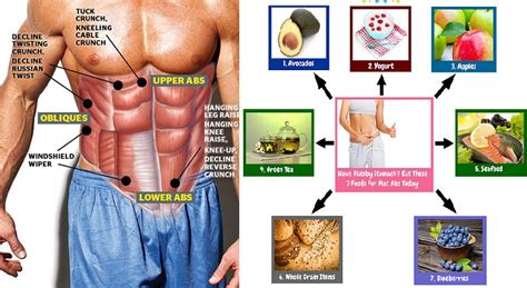 Diet For Six Pack Abs - 7 Rules For Proper Nutrition - Bodydulding