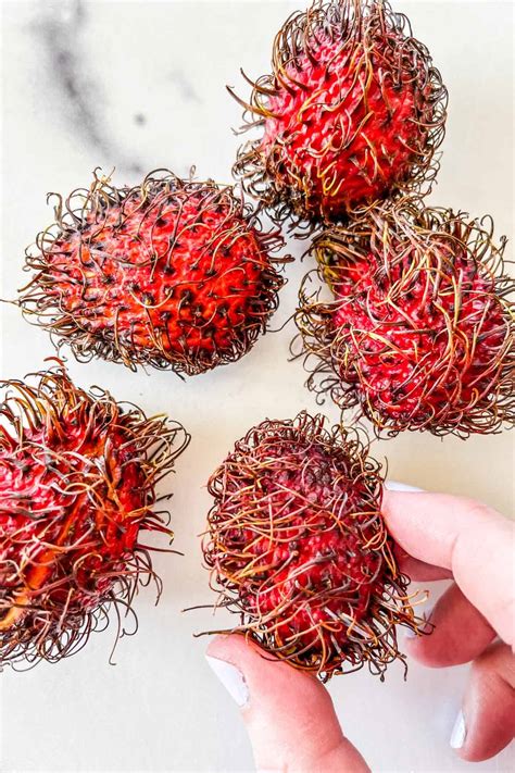 Rambutan FAQs –, 55% OFF | www.elevate.in