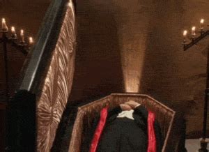 Dracula GIFs - Find & Share on GIPHY