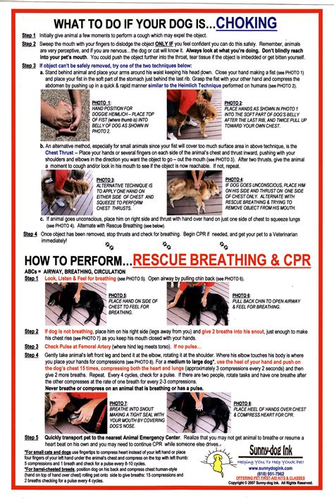 Pets First Aid Home Remedies quick lifesaving chocking CPR rescue ...