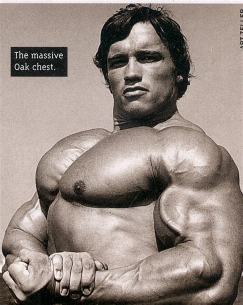 Schwarzenegger, Arnold