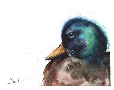 Mallard Duck Watercolor at GetDrawings | Free download