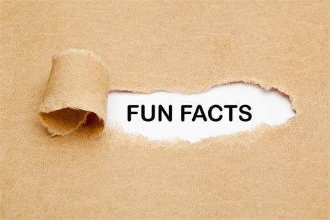 75 Fun And Interesting Facts About Yourself