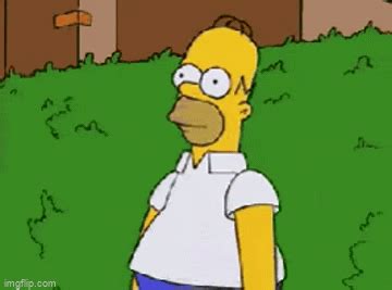 Homer disappears into bush - Imgflip