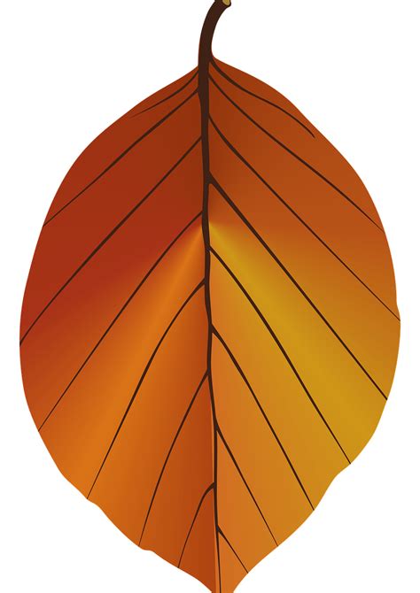 Download Autumn Leaf Leaf Yellow Leaf Royalty-Free Stock Illustration Image - Pixabay