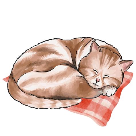 Premium Vector | Watercolor funny cat illustration