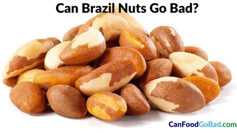 Can Brazil Nuts Go Bad: How Long Do Brazil Nuts Last? – Can Food Go Bad