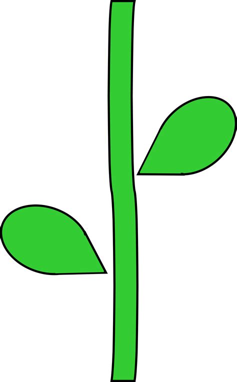 Flower Stem by @barnheartowl, A green flower stem, on @openclipart | Flower printables free ...