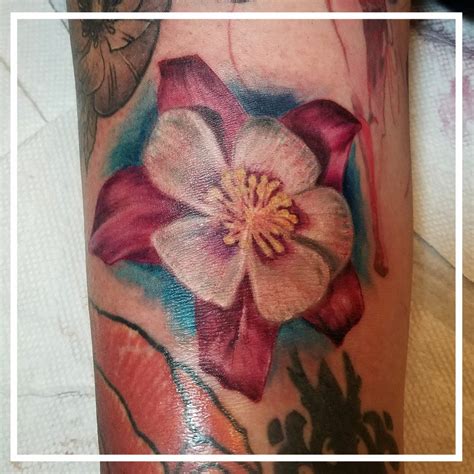 Columbine Flower Photos Tattoo Designs | Best Flower Site