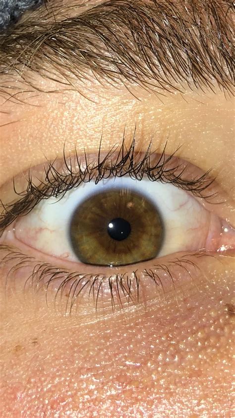 Is my eye hazel or brown? : r/eyes